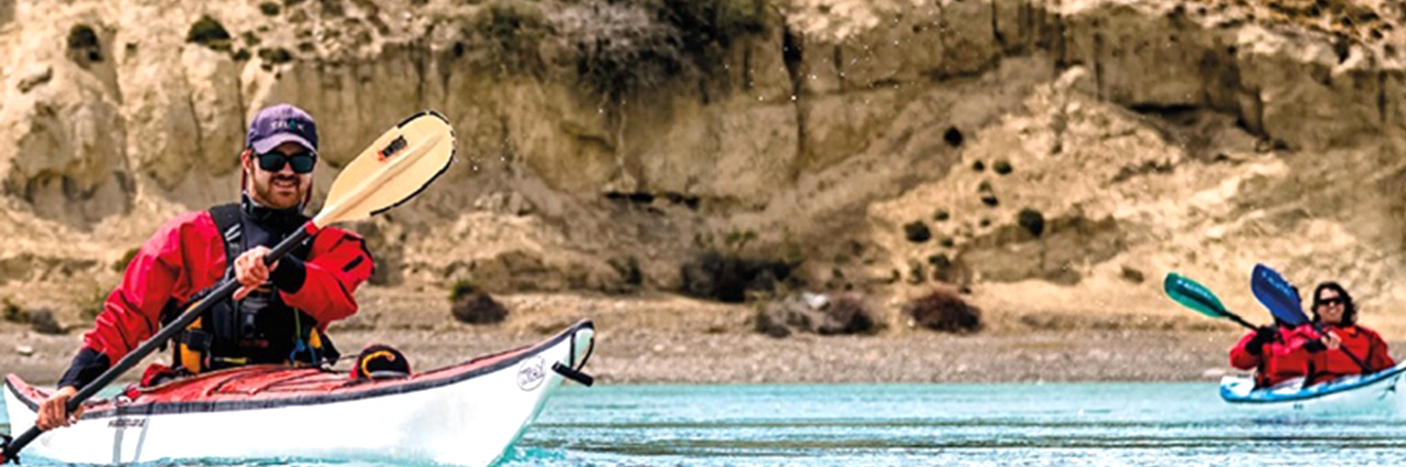 Darwin Experience - Imagen 2